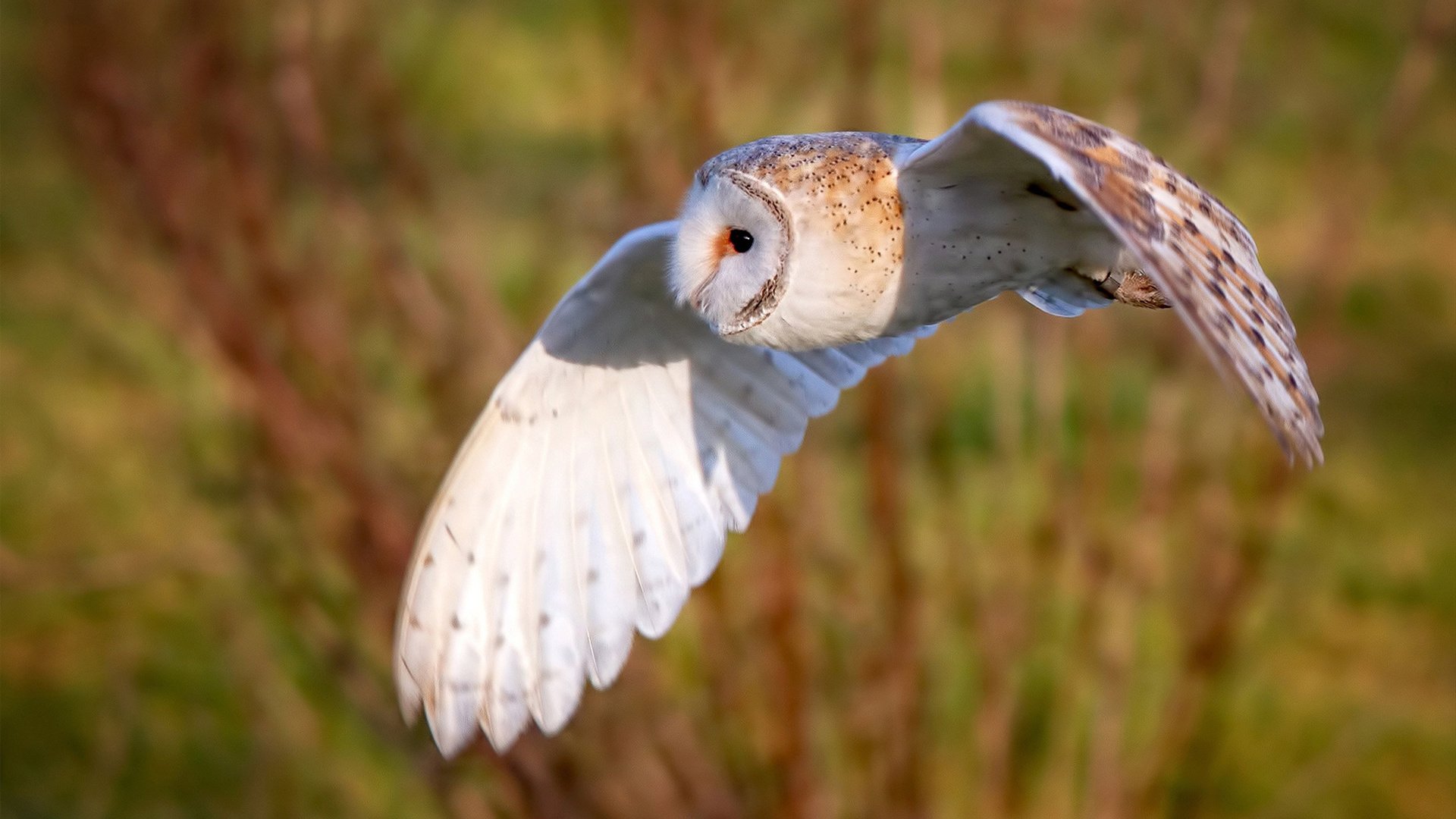 欧冠淘汰赛惊现防守艺术！乔治化身铁闸锁死对手，一战铸就传奇之夜
