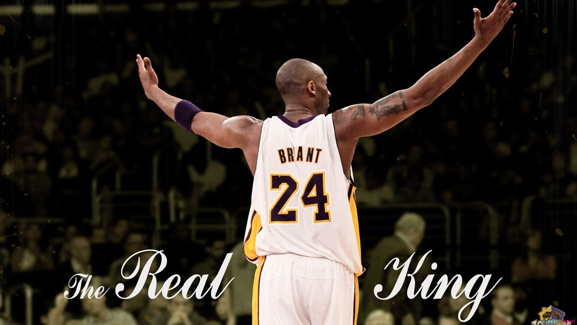 开云APP-伊拉克爆冷阿森纳，草根铁血的逆袭，与一个中场孤岛的绝望闪光